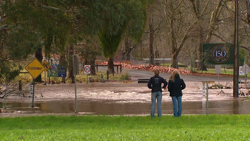 Powerful cold front set to bring heavy rain and dangerous winds to South Australia