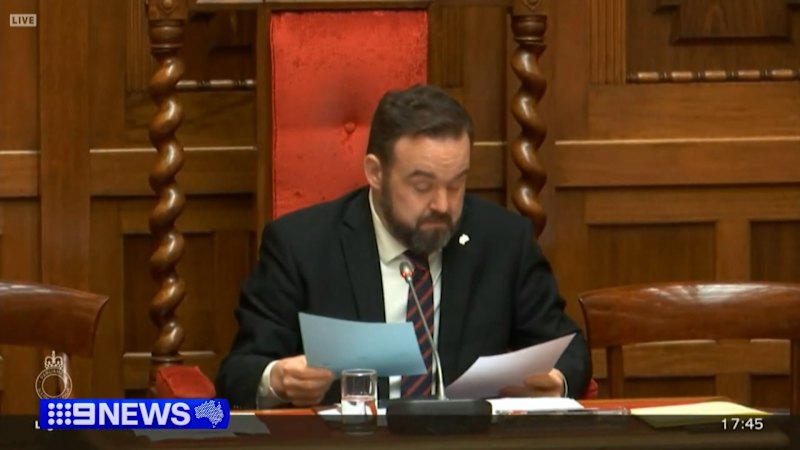 Controversial abortion bill passes SA upper house