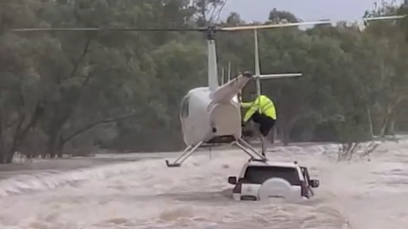 Dog rescued from croc-infested floodwaters
