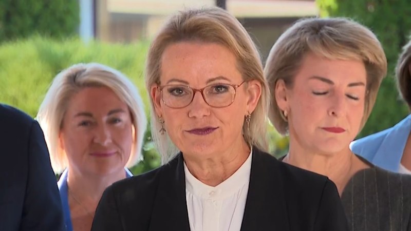 Sussan Ley elected new Liberal leader