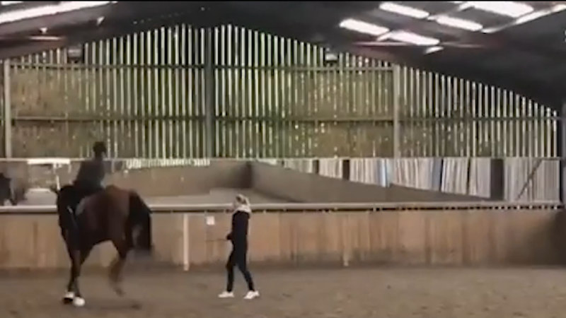 Olympic dressage star seen repeatedly whipping horse