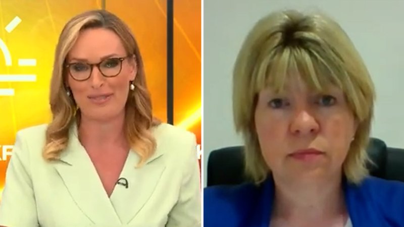 News anchor Isabel Webster questions politician as co-host falls silent