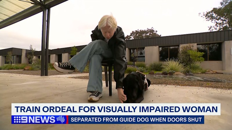 Woman separated from guide dog in 'traumatising' incident at train station