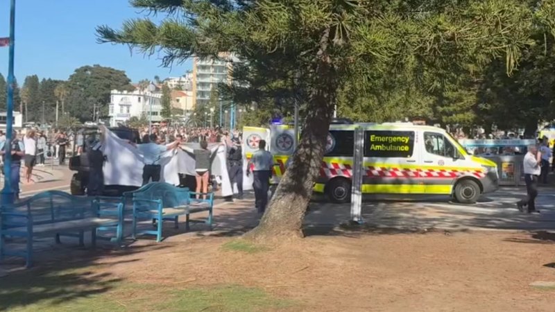 Woman attacked by shark at Sydney beach