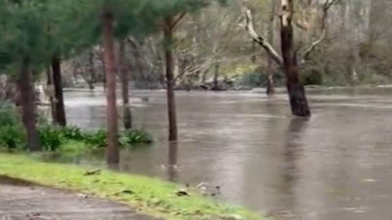 Record rainfall dumped on South Australia