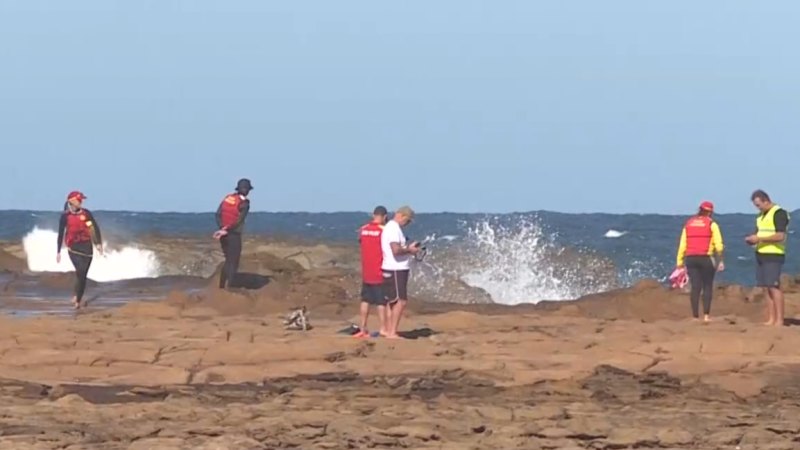 Desperate search for teenager swept off rocks