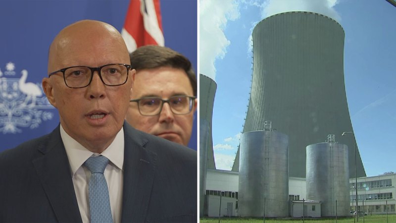 Opposition unveils nuclear costings