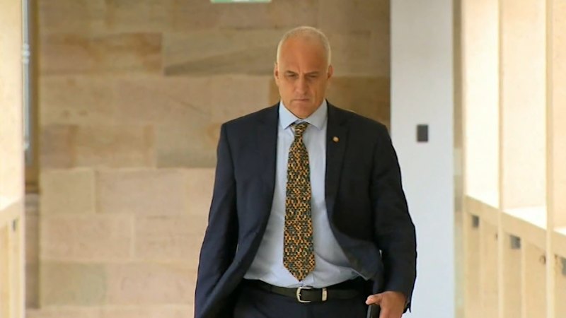 Queensland MP defends decision to defy party over abortion laws