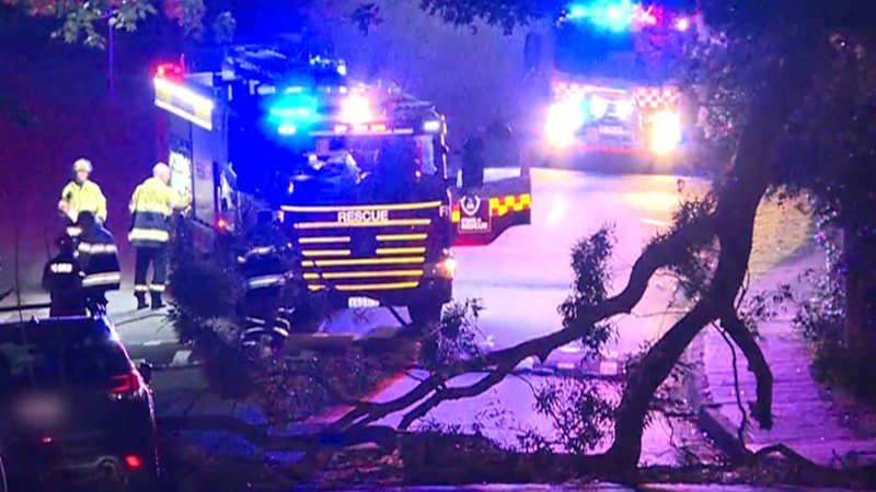 Over 100 homes without power in Sydney following wild weather