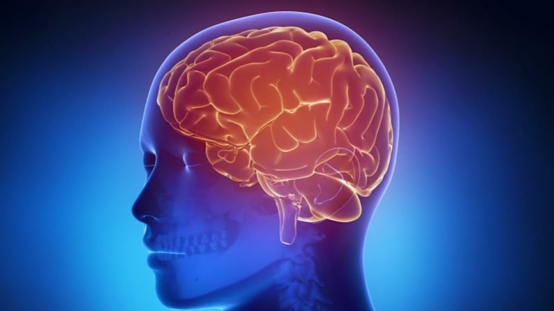Aussie scientists' breakthrough discovery about 'often misunderstood' condition