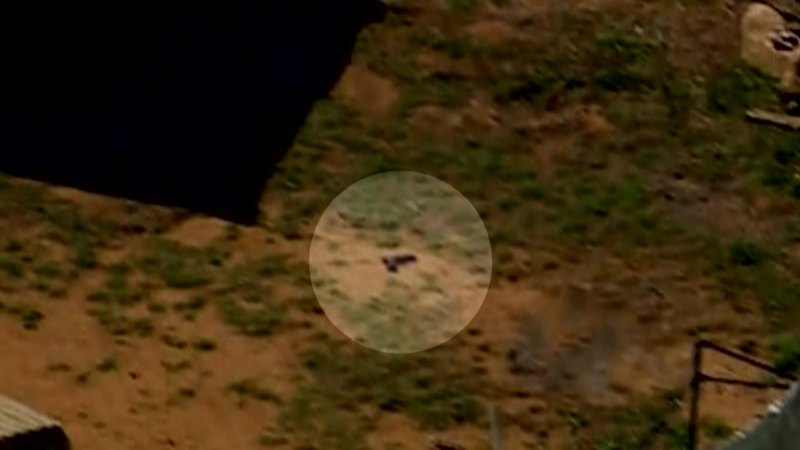 Freeman fired twice at police during deadly shootout