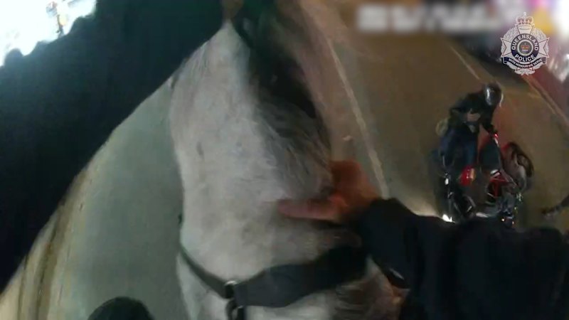 Police officer thrown from horse in Surfers Paradise