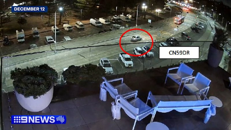 Court documents reveal new details of Bondi terror attack