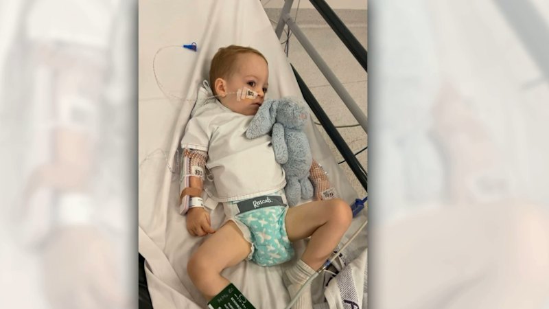 Children in Australia develop severe kidney illness after exposure to farm animals