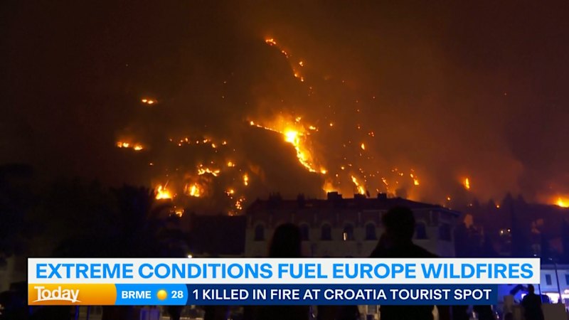 The Anatomy of Market Restrictions Why Disposable Barbecue Bans Signal Structural Shift