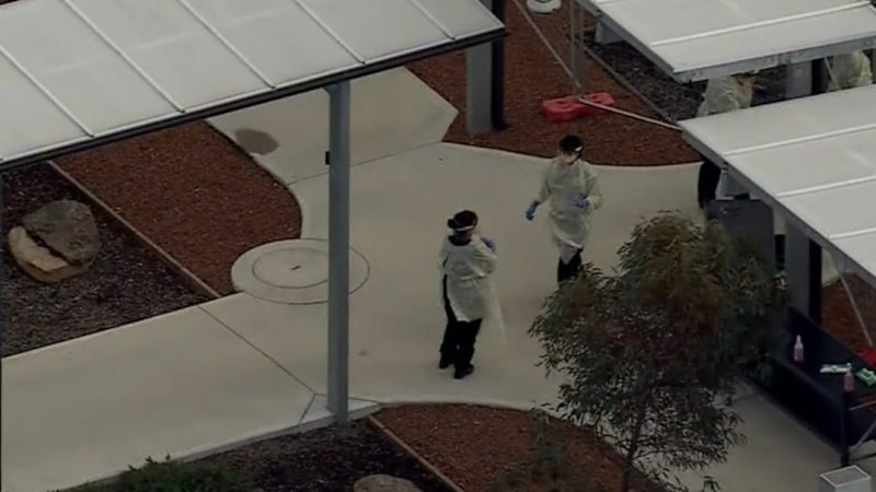 Hantavirus cruise passengers to be released from quarantine