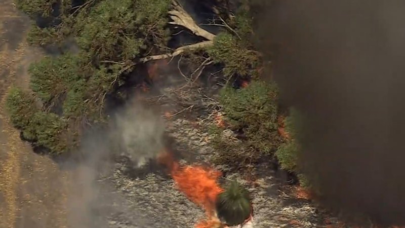 Three emergency-level bushfires rage across Perth