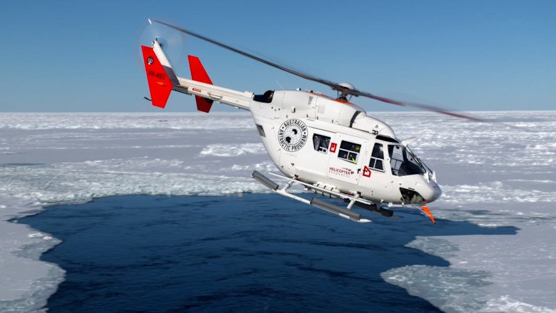 Sumijo izbruh ptičje gripe H5 na otoku Heard