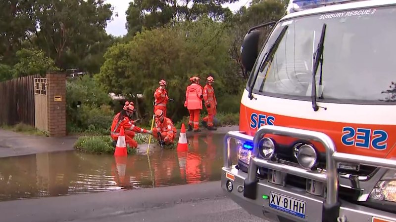 Flights cancelled as wild weather lashes south-eastern states