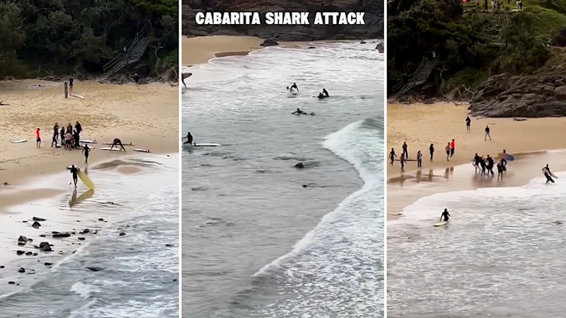 Witnesses capture video of shark attack at Cabarita