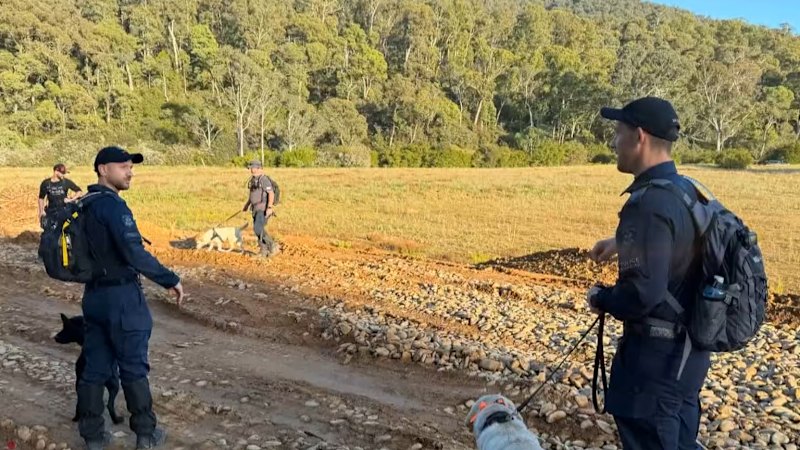 Police scour dense bushland in renewed search for Dezi Freeman