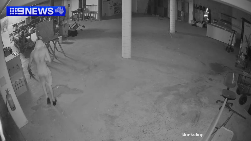 Thief’s brazen acts at NT animal park