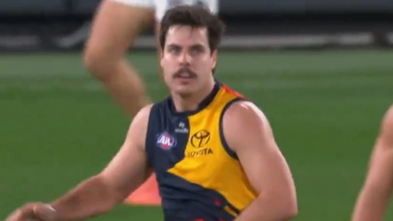 Crows go end-to-end in 16 seconds