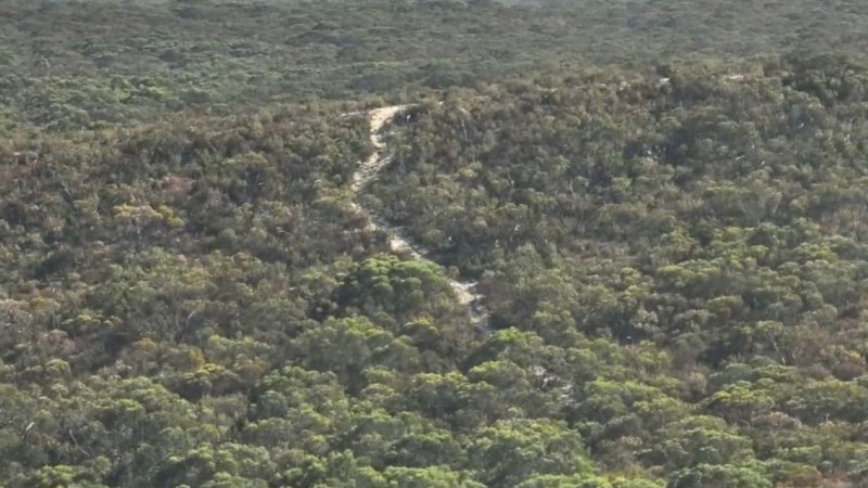 Search continues for missing man in South Australian bushland