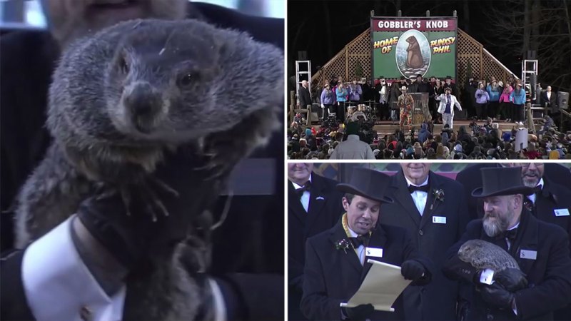 ABD'de Bugün Groundhog Günü