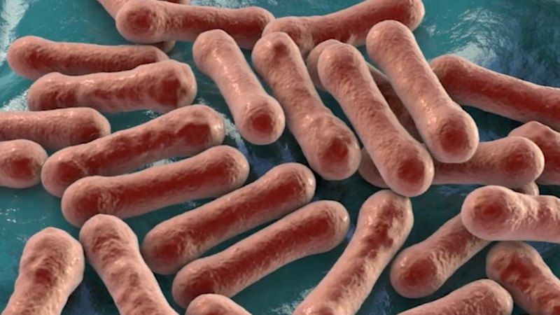 Worst diphtheria outbreak in decades crosses state borders