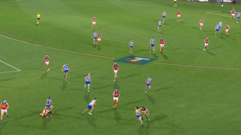 Kangaroos fight out draw with Lions