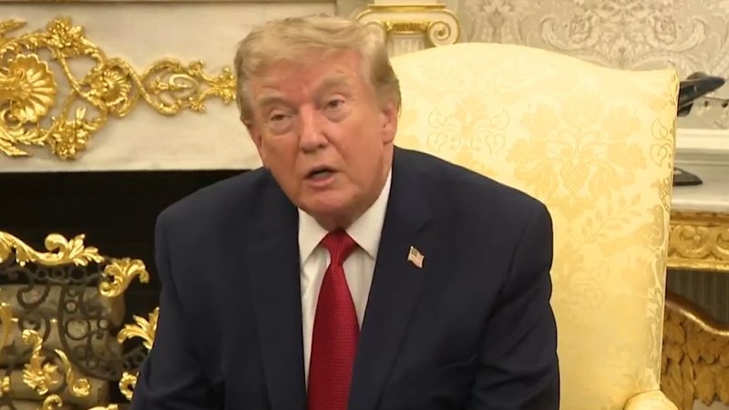 What Everyone Gets Wrong About Donald Trump and Natalie Harp
