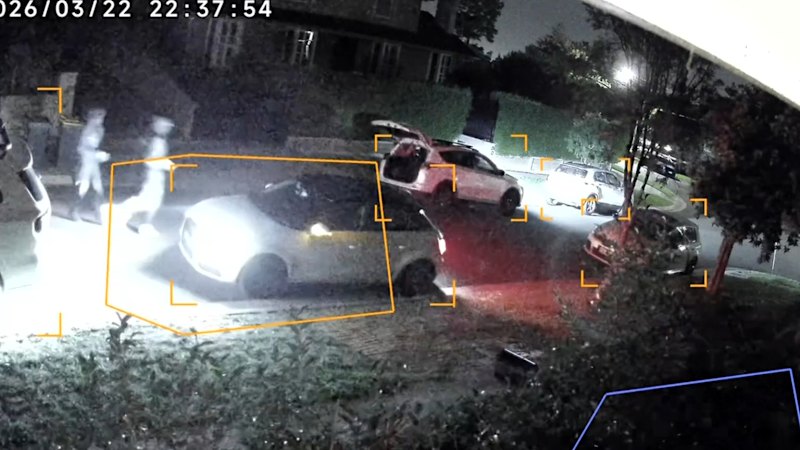 Alleged car thief taken down by police dog