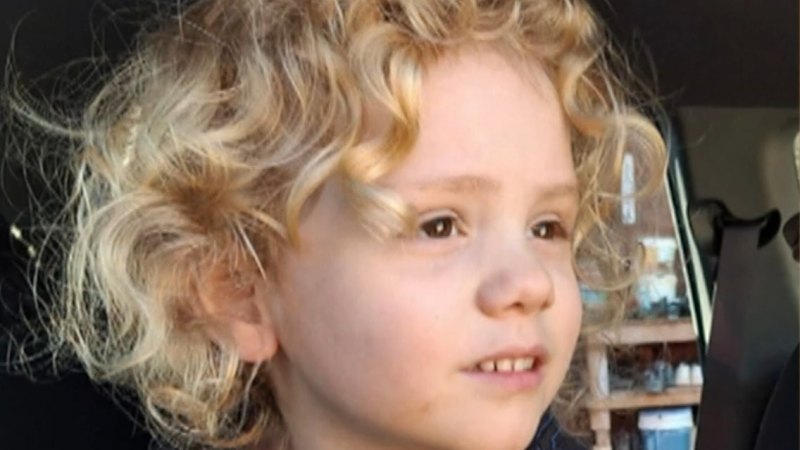 Search for evidence in Gus Lamont disappearance renewed by police