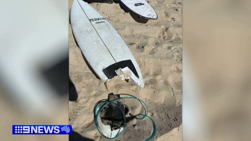 Father in hospital after shark attack