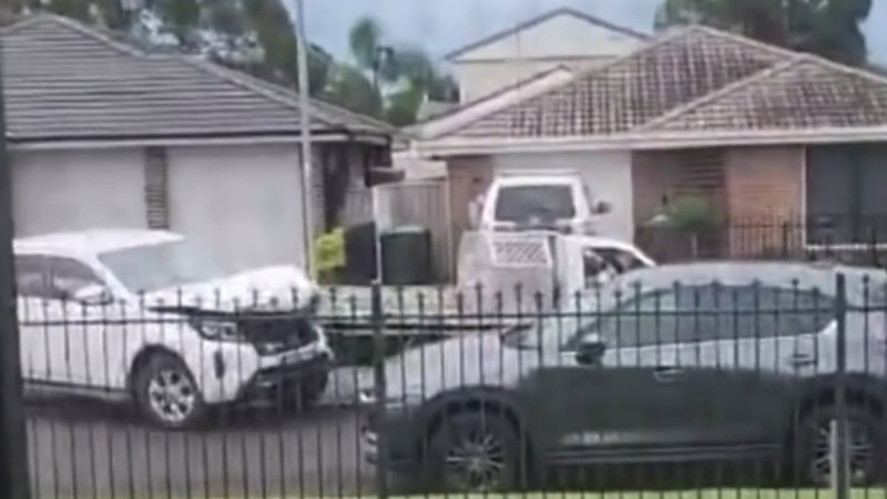 Alleged road rage attack captured on Newcastle street