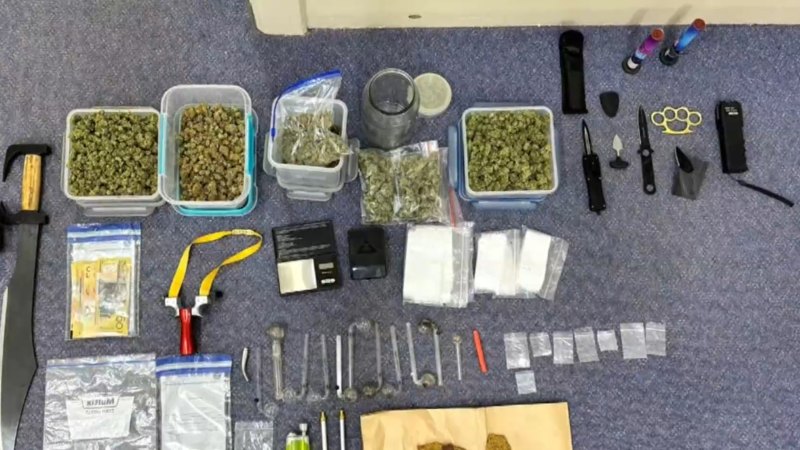 Weapons and drugs allegedly seized at home