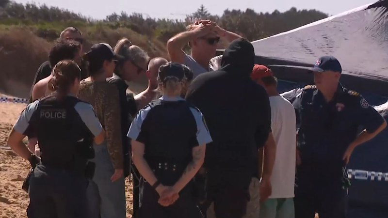 Dad killed by 'large shark' while surfing at Sydney beach