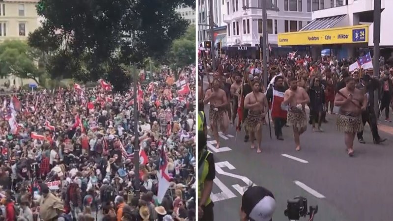 Thousands protest in New Zealand