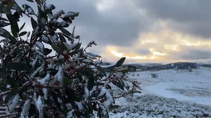 Coldest Victorian day of the year brings snow to suburbs