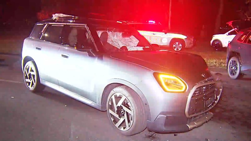Woman arrested over Adelaide hit-run spree