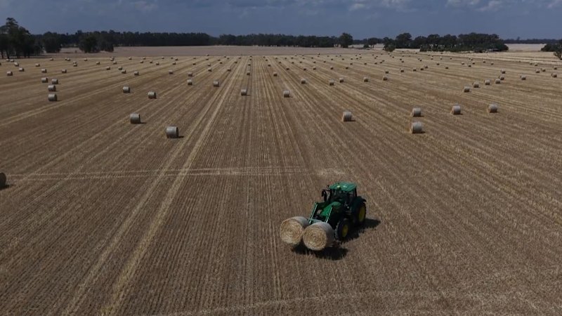 Weedkiller banned in 70 countries remains legal in Australia