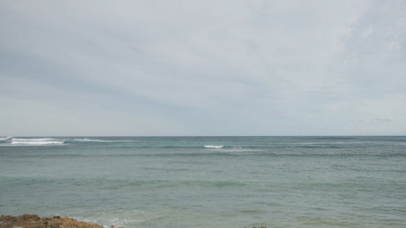 Bodies of missing mum and toddler found in ocean
