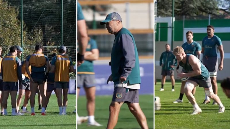 What comes next for Wallabies?