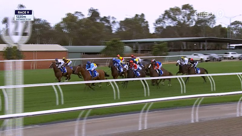 Lexus Melbourne Cup Day: Race 9 - The Hong Kong Jockey Club Stakes