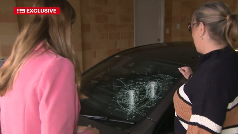Perth man charged over bizarre rampage