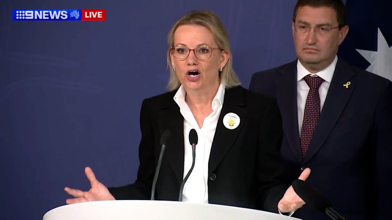 'I haven’t seen Penny Wong shed a single tear’: Ley slams Wong