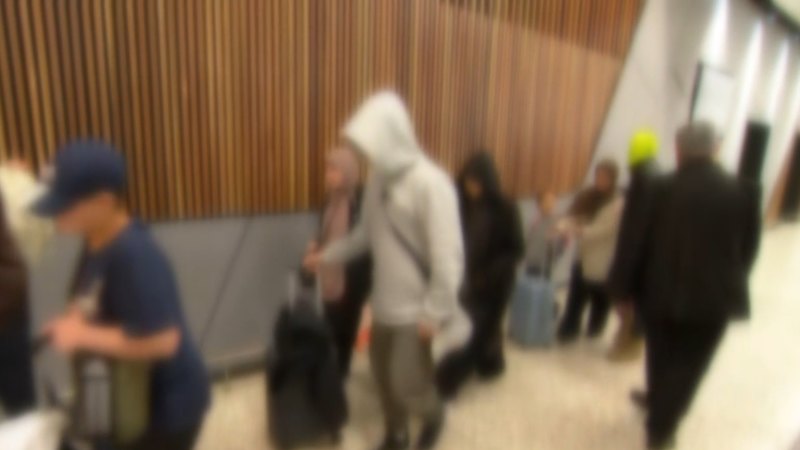 Man who reportedly helped bring so-called ISIS brides to Australia arrested