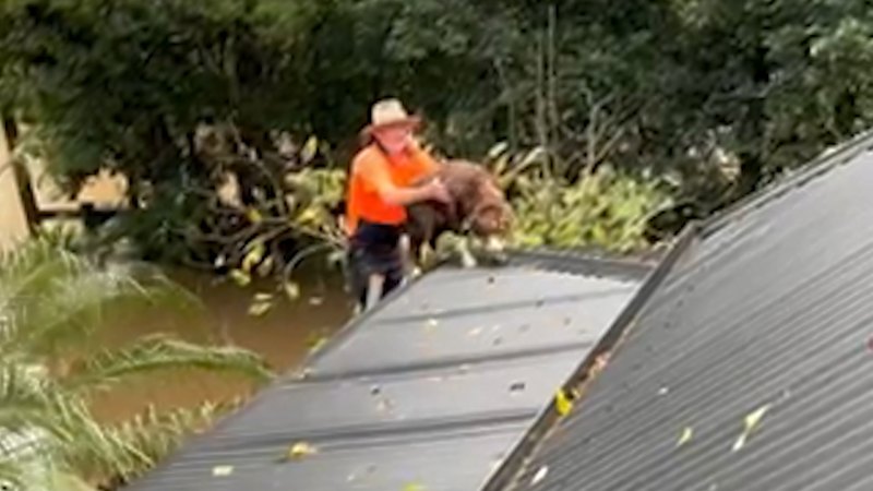 People stranded on rooftop in Taree