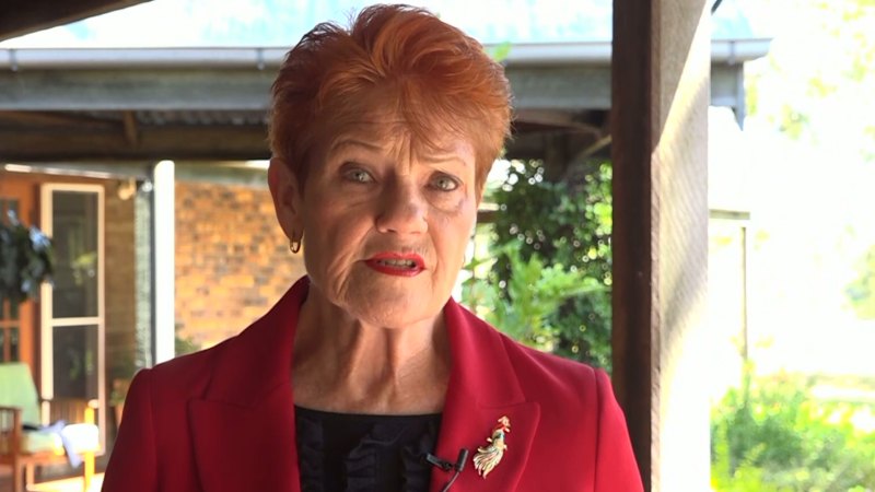 One Nation faces internal confusion over migration policy after conflicting statements